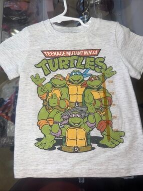 Teenage Mutant Ninja Turtles Graphic Tee - Light Gray